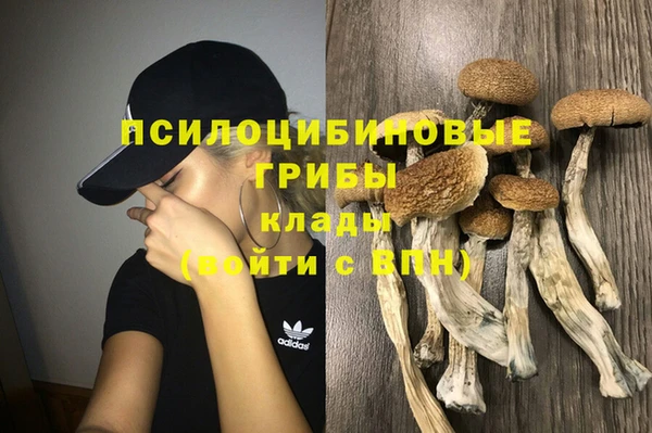 меф Майский