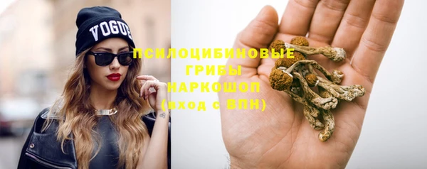 меф Майский