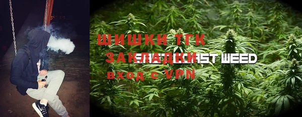 индика Магадан