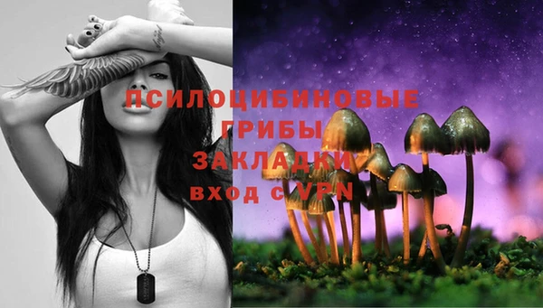 индика Магадан