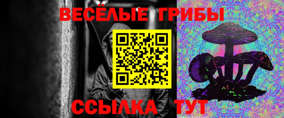Нижний Новгород  Галлюциногенные грибы ЛСД  Галлюциногенные грибы ЛСД  Вход с VPN 